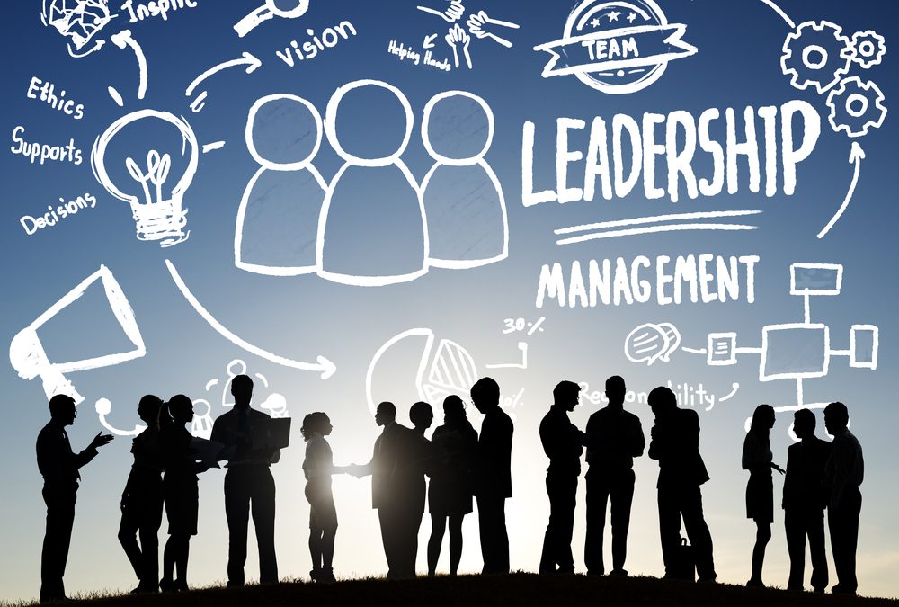 Leadership and Management Essay for Business Studies